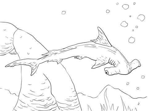 Scalloped Hammerhead Shark Coloring Page